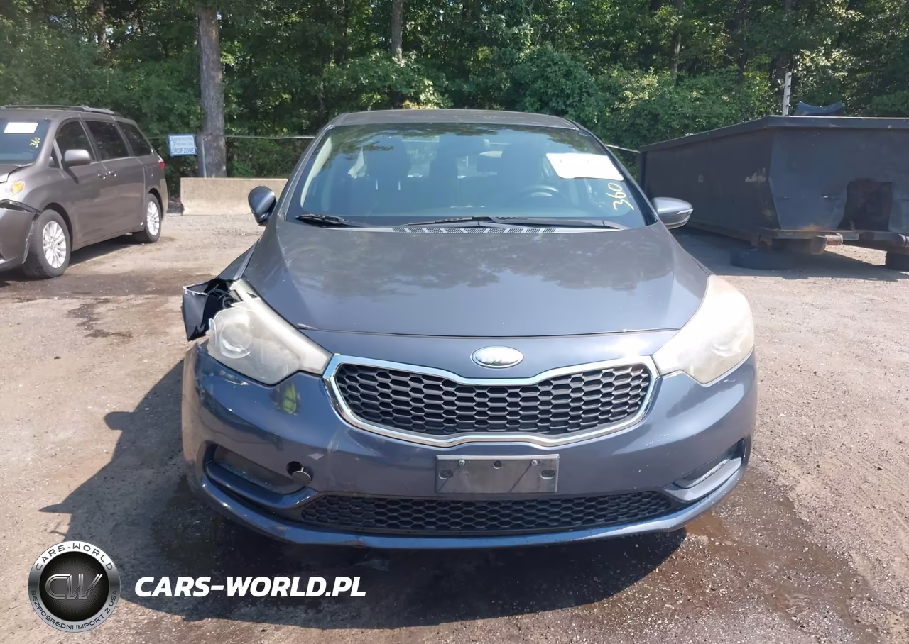 2014 Kia Forte Lx VIN:KNAFX4A65E5182785 - 12