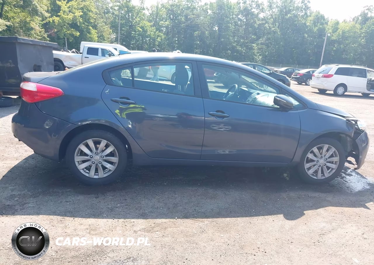 2014 Kia Forte Lx VIN:KNAFX4A65E5182785 - 13