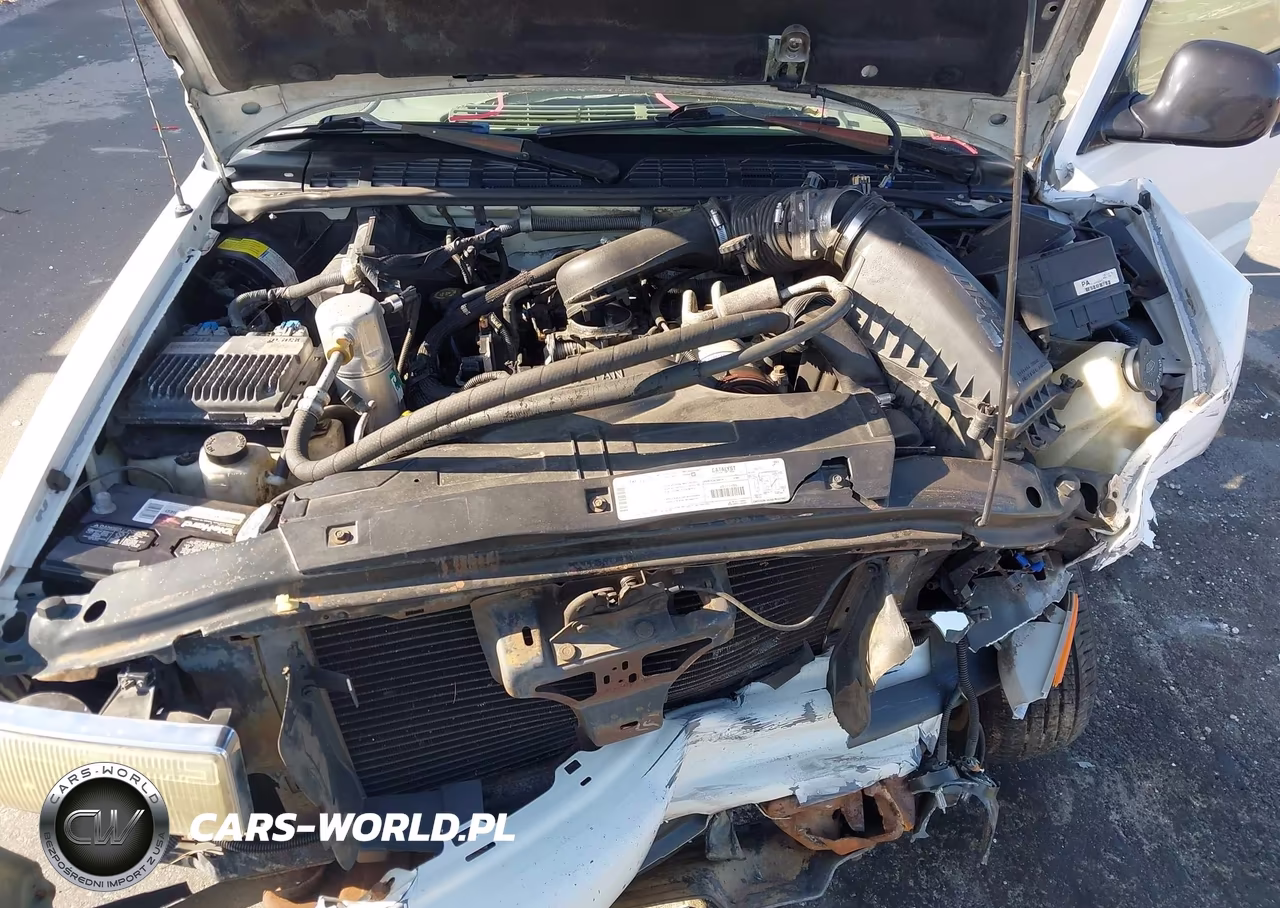 1998 Chevrolet S-10 Ls VIN:1GCCS19X1W8225941 - 10