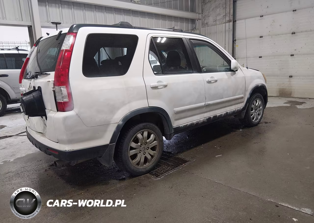 2006 Honda Cr-V Se VIN:JHLRD78996C037260 - 4