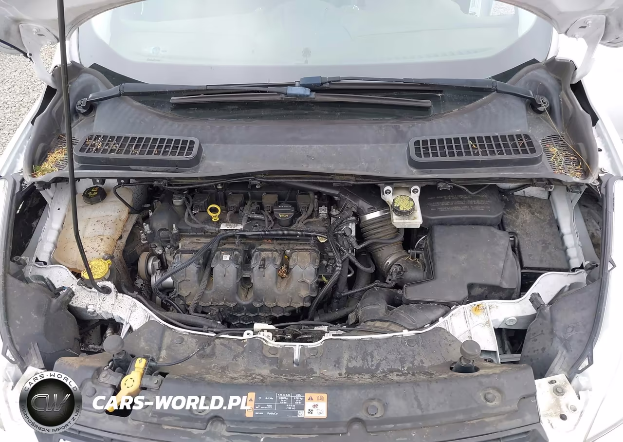 2015 Ford Escape Se VIN:1FMCU0G94FUC05470 - 10
