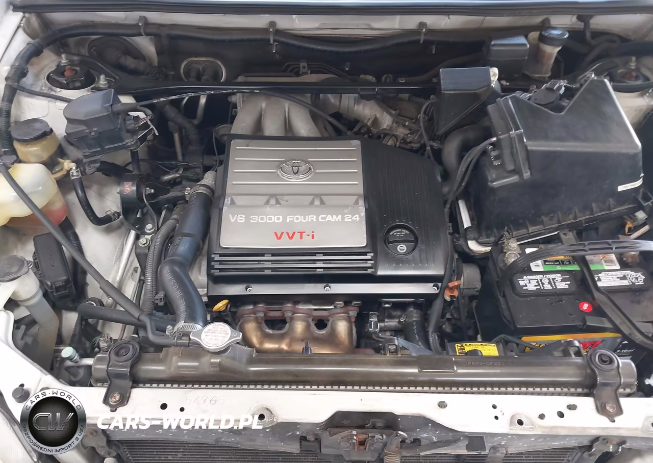 2002 Toyota Highlander Limited V6 VIN:JTEGF21A620047063 - 10