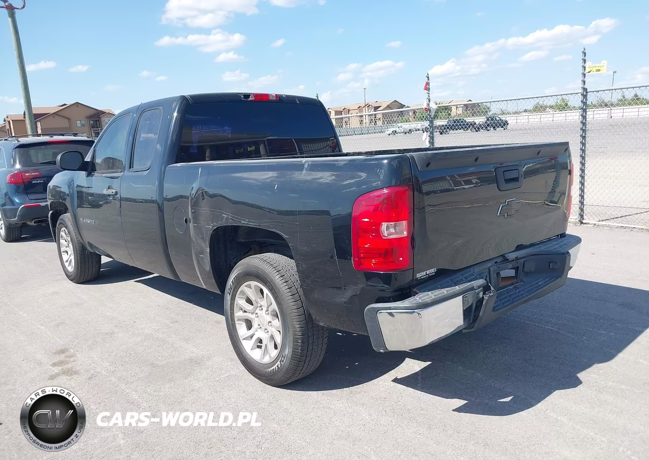 2010 Chevrolet Silverado 1500 Work Truck VIN:1GCSCPEX9AZ297152 - 3