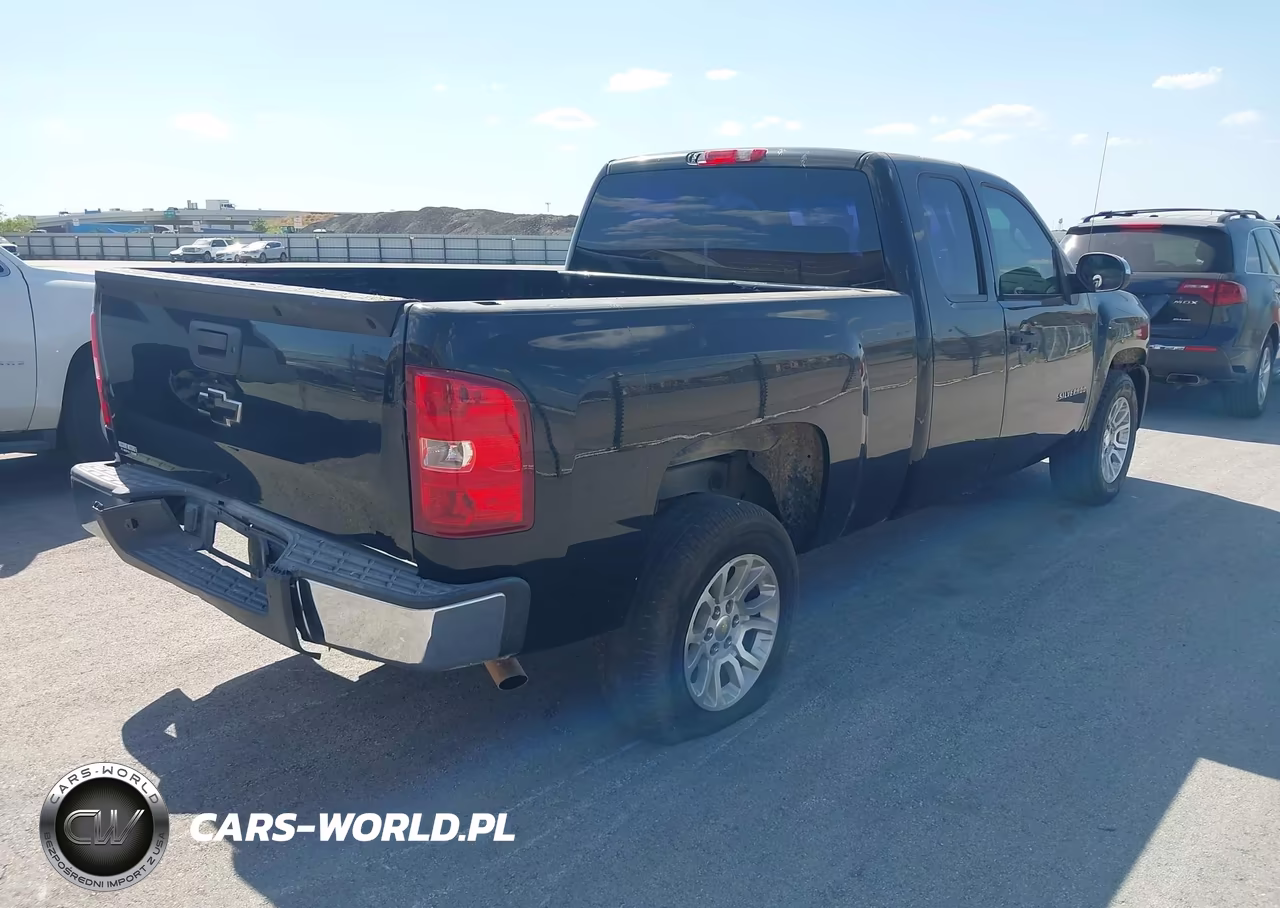 2010 Chevrolet Silverado 1500 Work Truck VIN:1GCSCPEX9AZ297152 - 4
