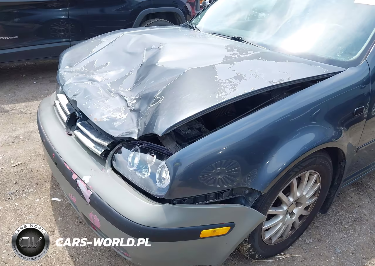 2005 Volkswagen Golf Gls Tdi VIN:9BWGR61J654017079 - 19