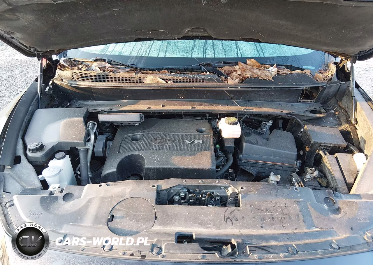 2014 Infiniti Qx60 VIN:5N1AL0MN5EC502604 - 10
