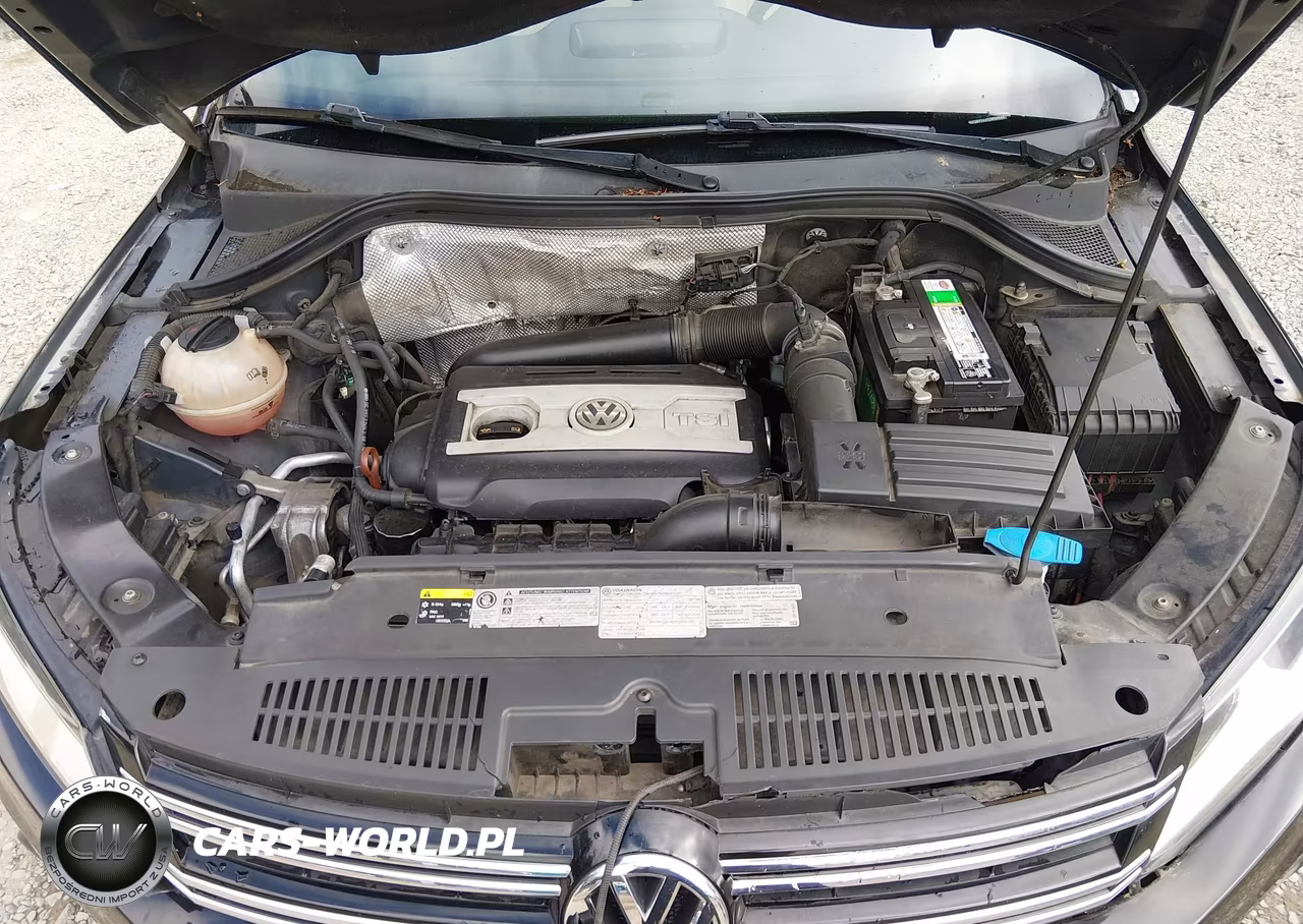 2013 Volkswagen Tiguan Se VIN:WVGBV3AX5DW586961 - 10