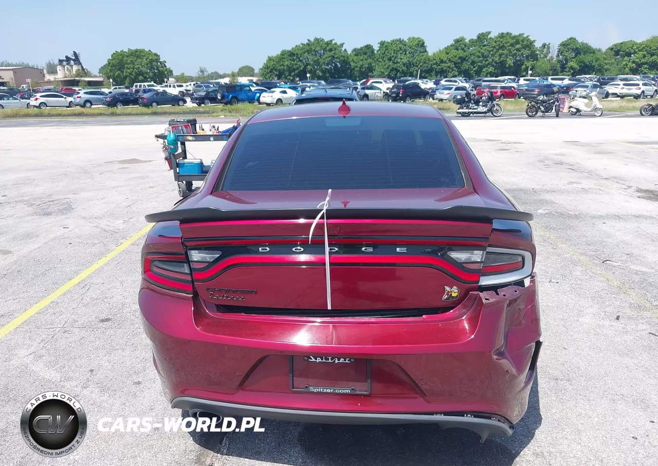 2020 Dodge Charger Scat Pack Rwd VIN:2C3CDXGJ8LH219415 - 16