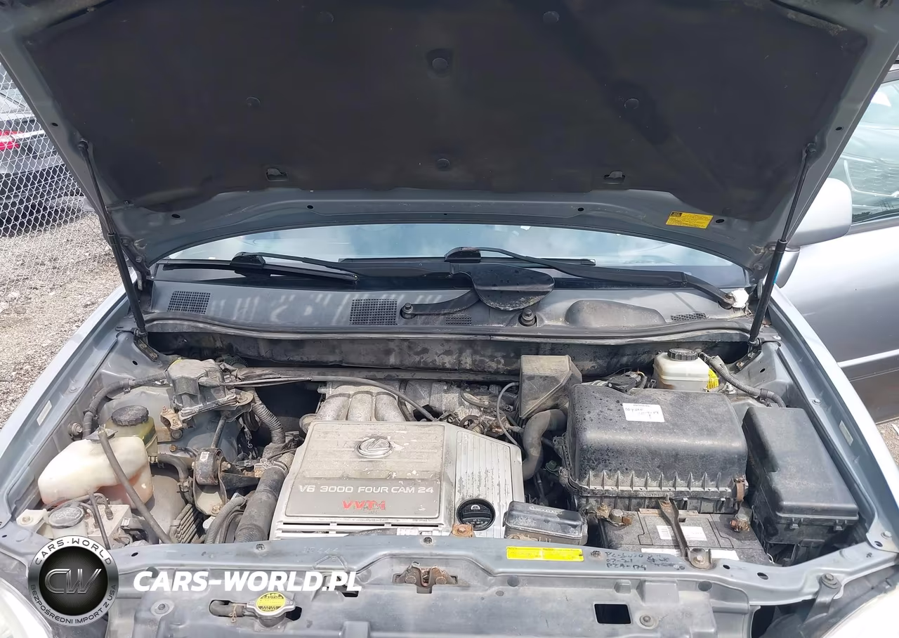 2001 Lexus Rx 300 VIN:JTJHF10U410181323 - 10