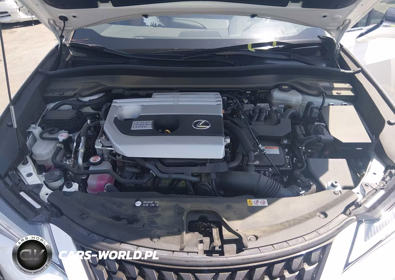 2022 Lexus Ux 250H VIN:JTHP9JBH7N2057786 - 10