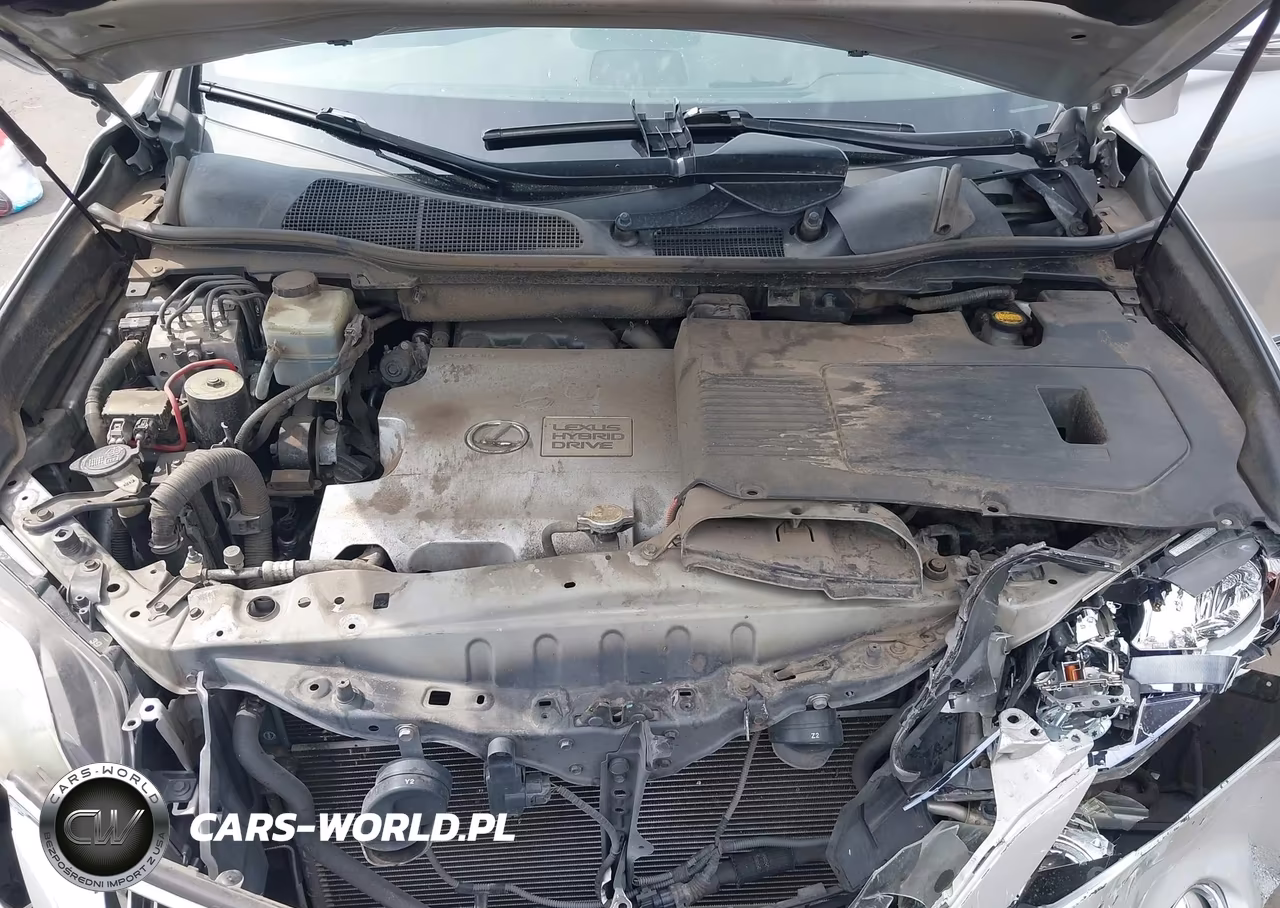 2010 Lexus Rx 450H VIN:JTJZB1BA2A2000615 - 10