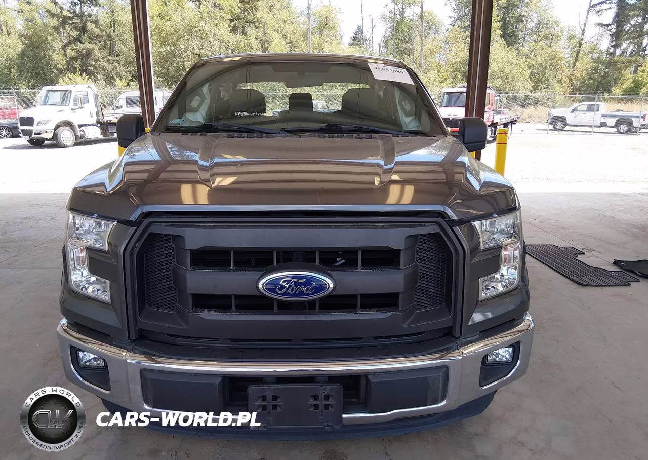 2016 Ford F-150 Xl VIN:1FTEX1CP3GKF20806 - 12