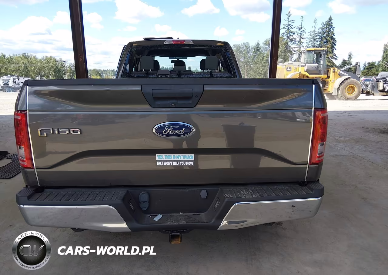 2016 Ford F-150 Xl VIN:1FTEX1CP3GKF20806 - 16