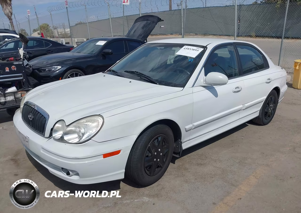 2002 Hyundai Sonata VIN:KMHWF25S62A528195 - 2