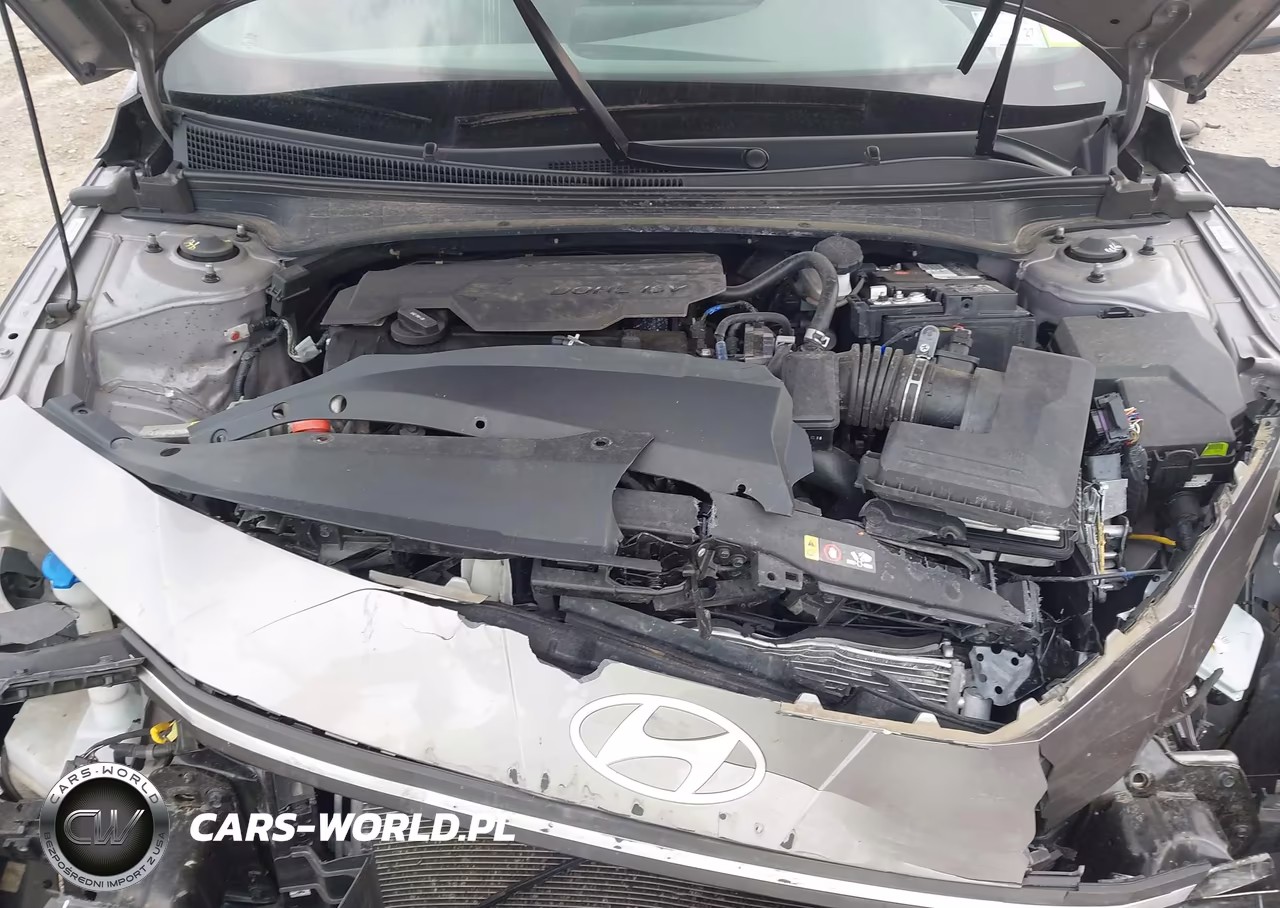 2024 Hyundai Elantra Sel VIN:KMHLM4DG6RU658083 - 10