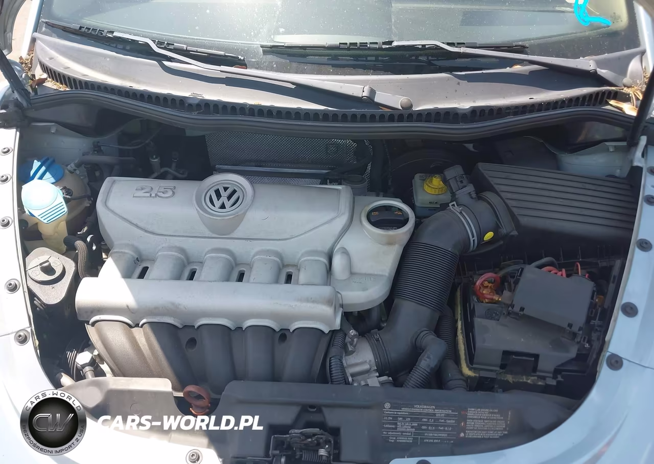 2010 Volkswagen New Beetle 2.5L VIN:3VWRW3AGXAM022859 - 10