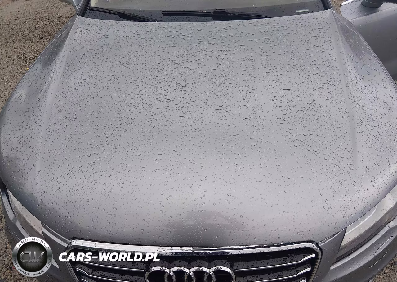 2012 Audi A7 3.0 Prestige VIN:WAU2GAFC5CN053101 - 10