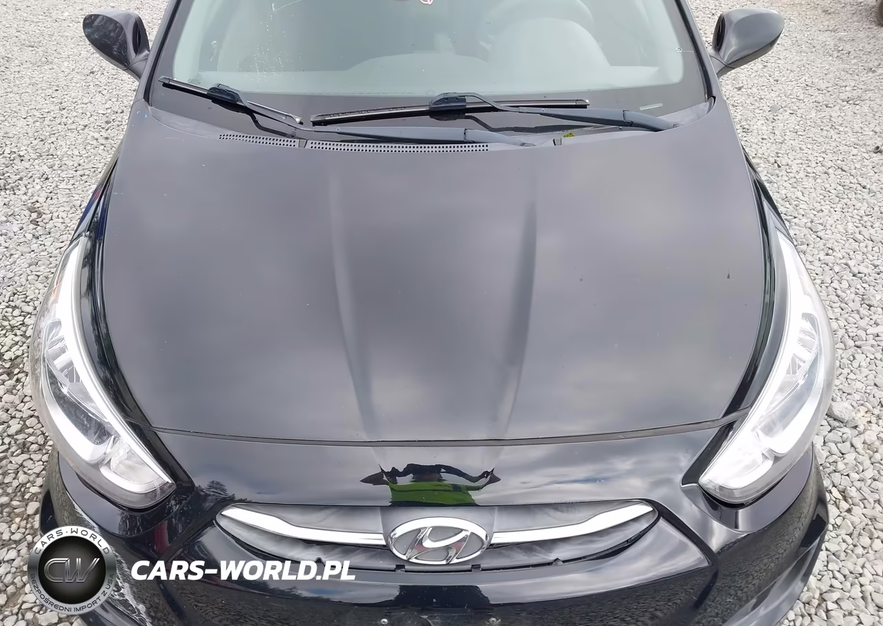 2017 Hyundai Accent Se VIN:KMHCT4AE4HU360796 - 10
