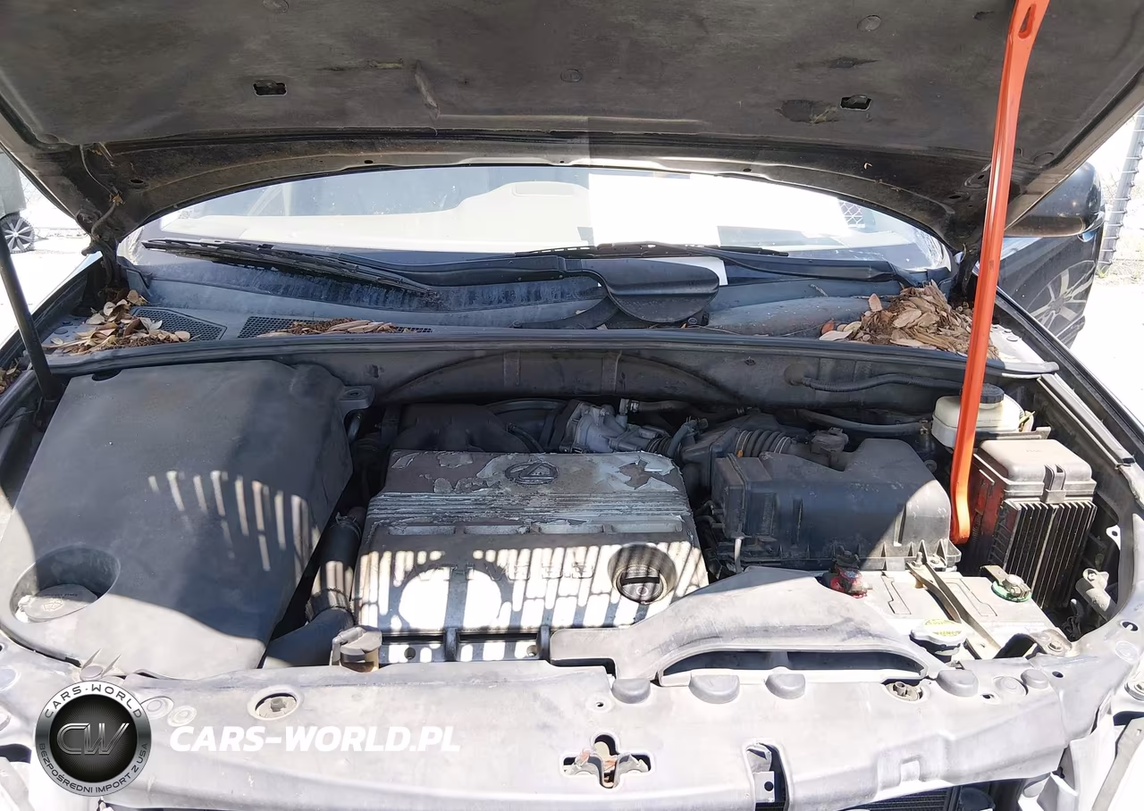 2005 Lexus Rx 330 VIN:2T2GA31U75C030409 - 10