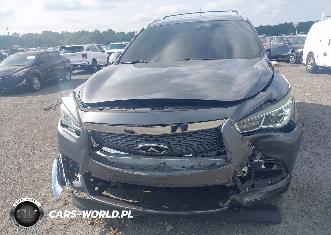 2019 Infiniti Qx60 Luxe VIN:5N1DL0MM4KC520723 - 6