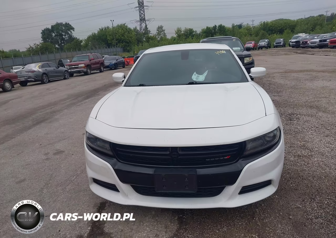 2017 Dodge Charger Police Rwd VIN:2C3CDXAG1HH532973 - 12