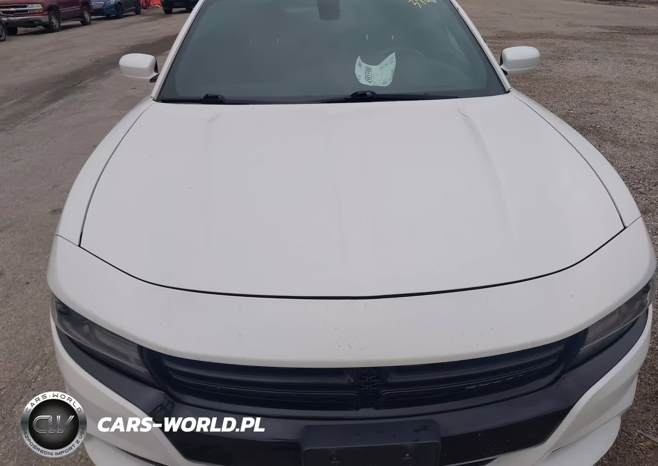 2017 Dodge Charger Police Rwd VIN:2C3CDXAG1HH532973 - 6