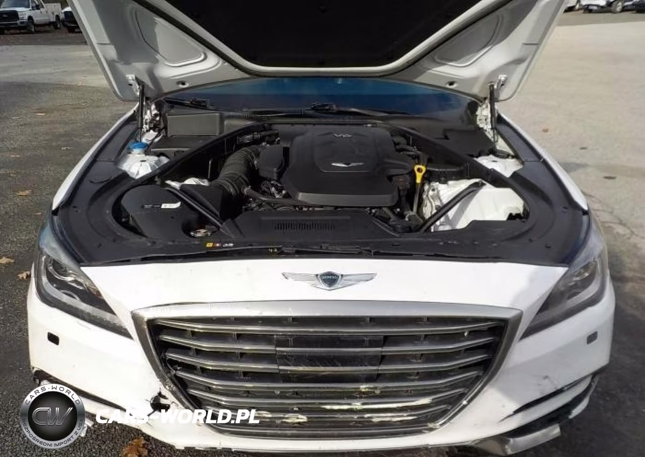 2018 Genesis G80 3.8 VIN:KMHGN4JEXJU233391 - 10