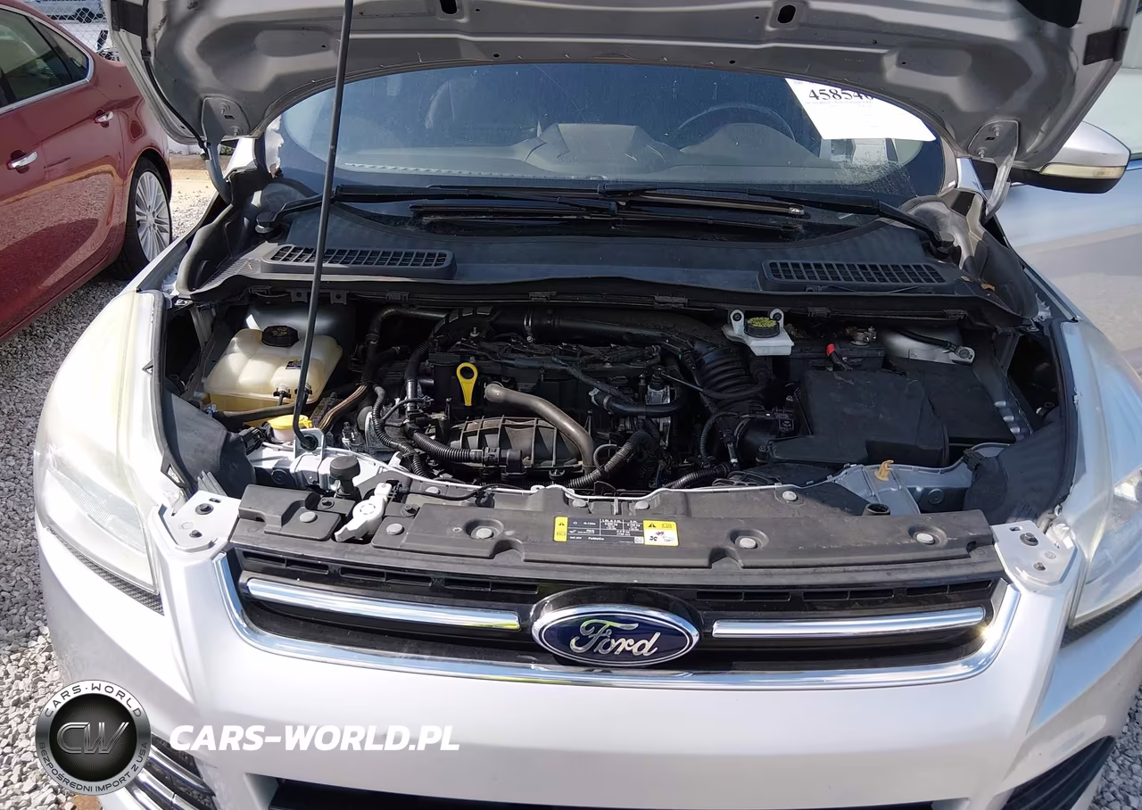 2013 Ford Escape Sel VIN:1FMCU0HX6DUA95631 - 10