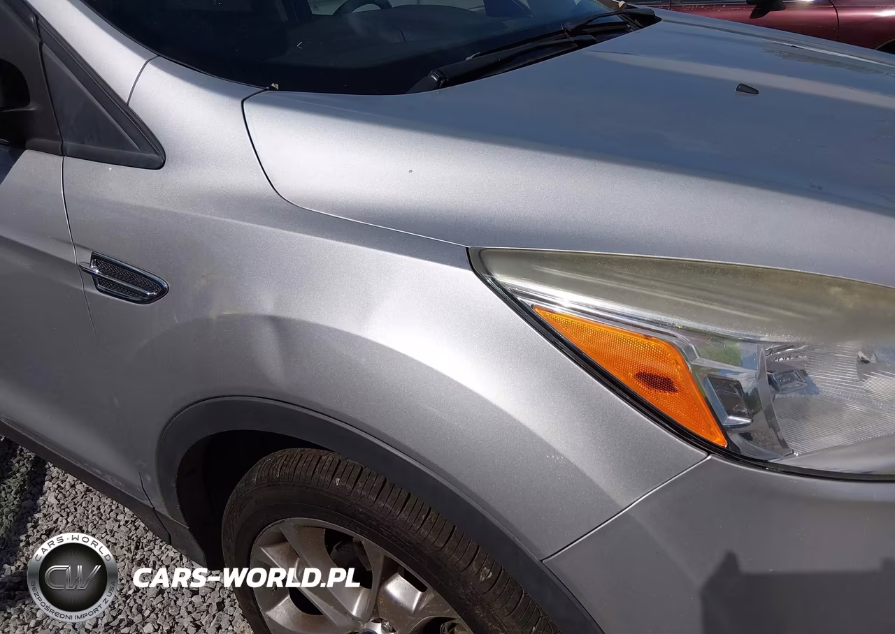 2013 Ford Escape Sel VIN:1FMCU0HX6DUA95631 - 6