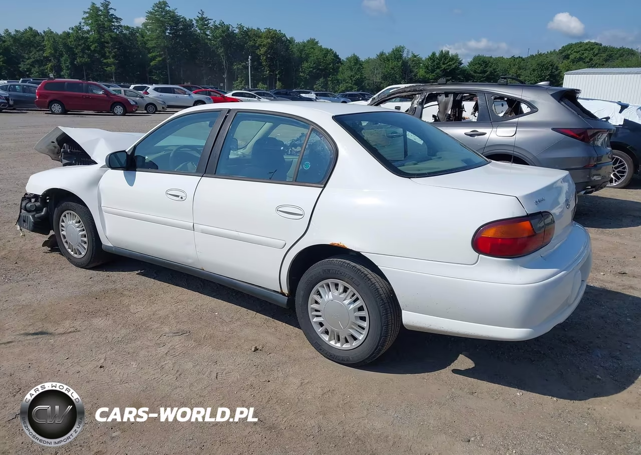2005 Chevrolet Classic VIN:1G1ND52F85M142078 - 3