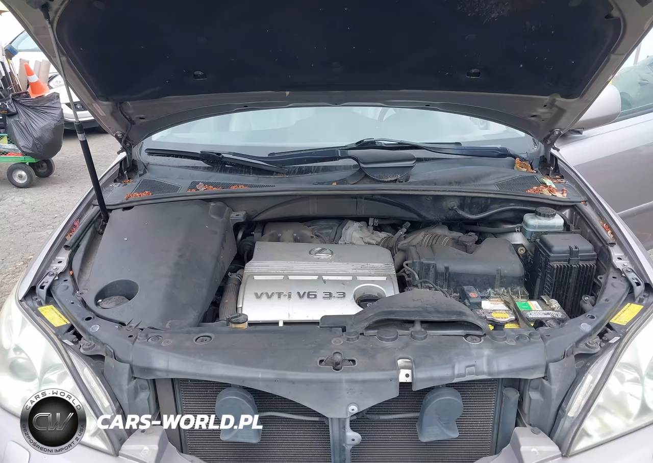2005 Lexus Rx 330 VIN:JTJHA31U050096851 - 10