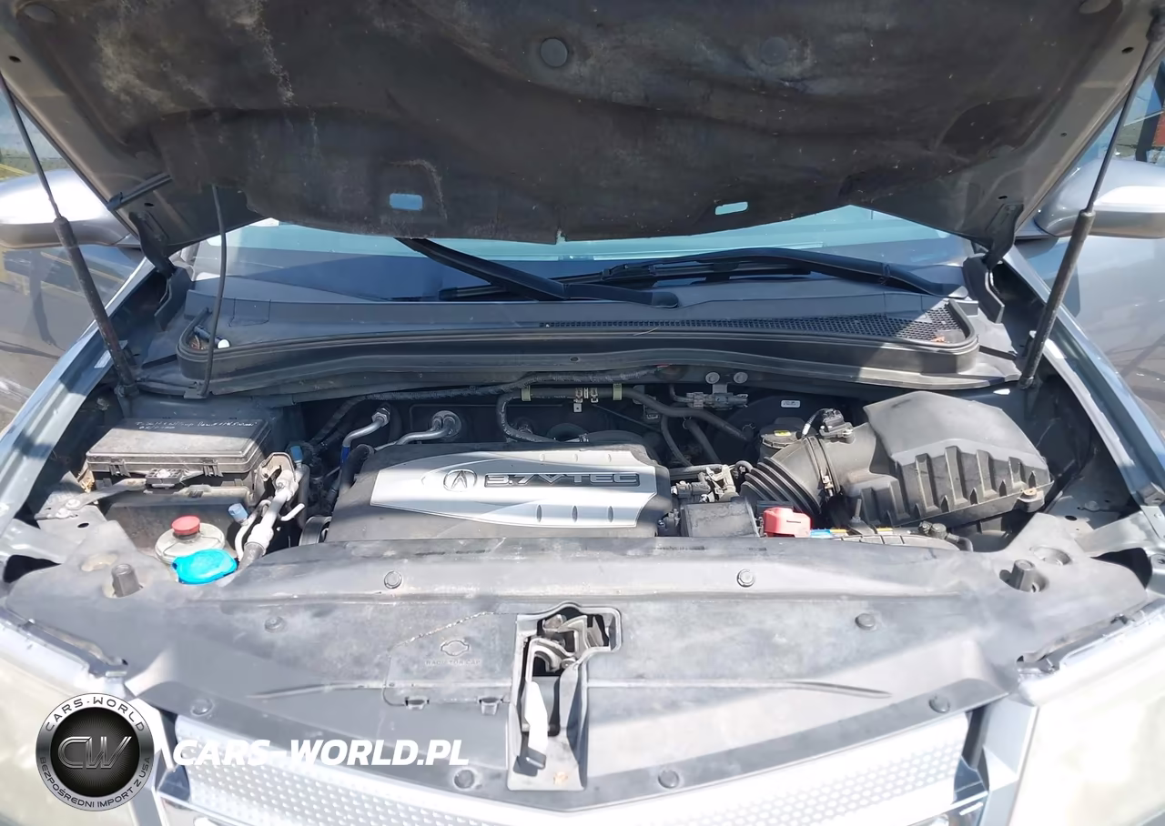 2009 Acura Mdx VIN:2HNYD28279H516156 - 10
