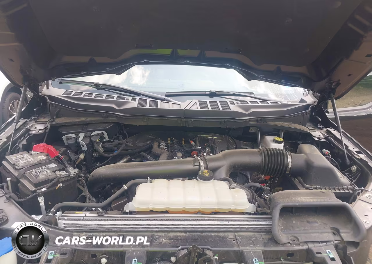 2025 Ford F-150 Xlt VIN:1FTFW3L83SKE40006 - 10