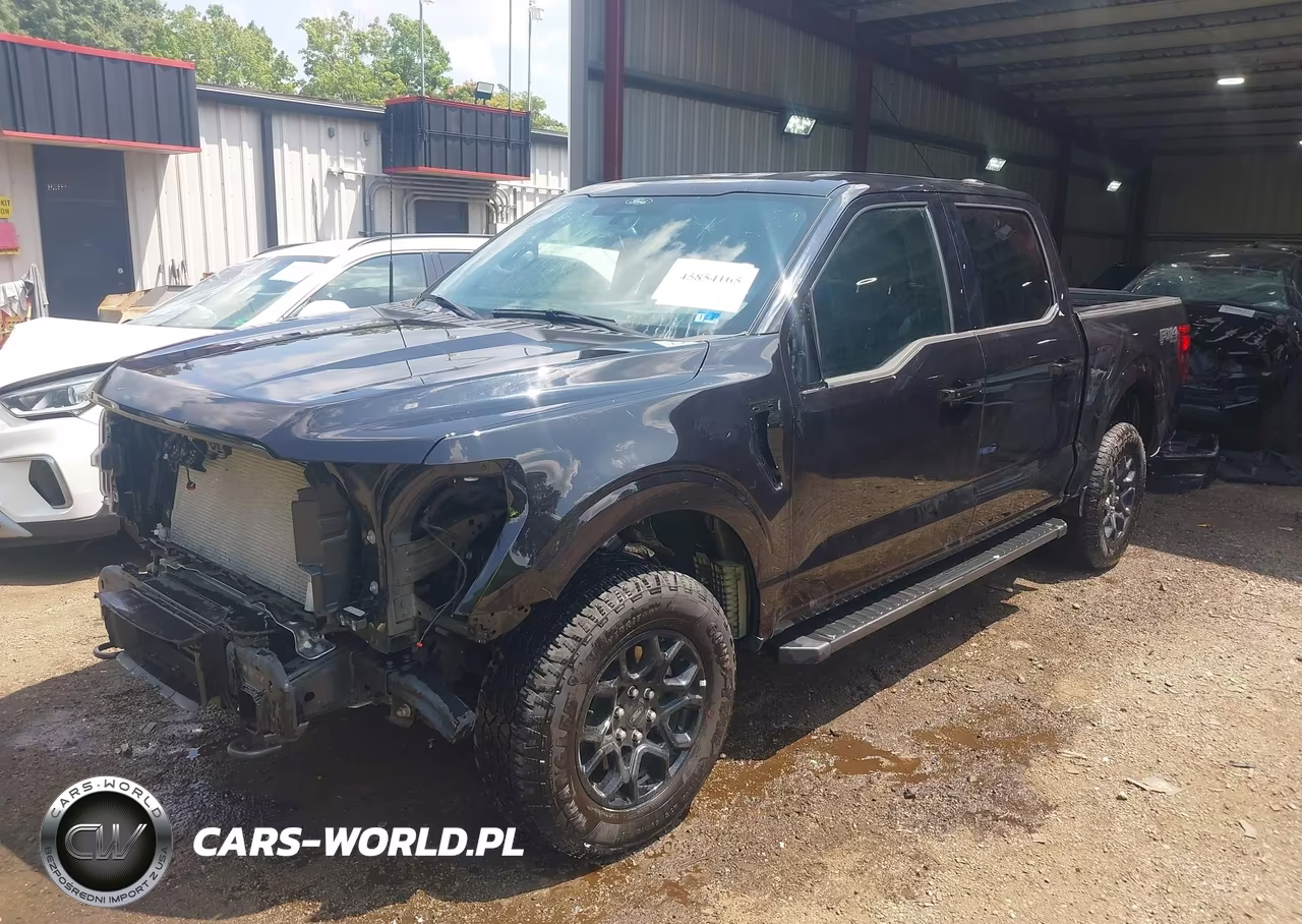 2025 Ford F-150 Xlt VIN:1FTFW3L83SKE40006 - 2