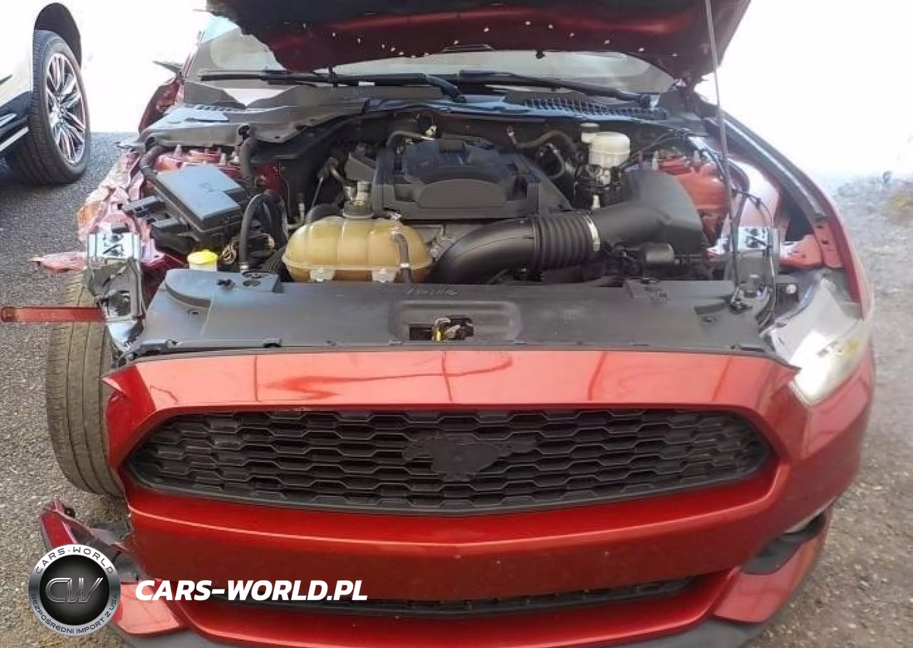 2016 Ford Mustang Ecoboost VIN:1FA6P8TH7G5265684 - 10