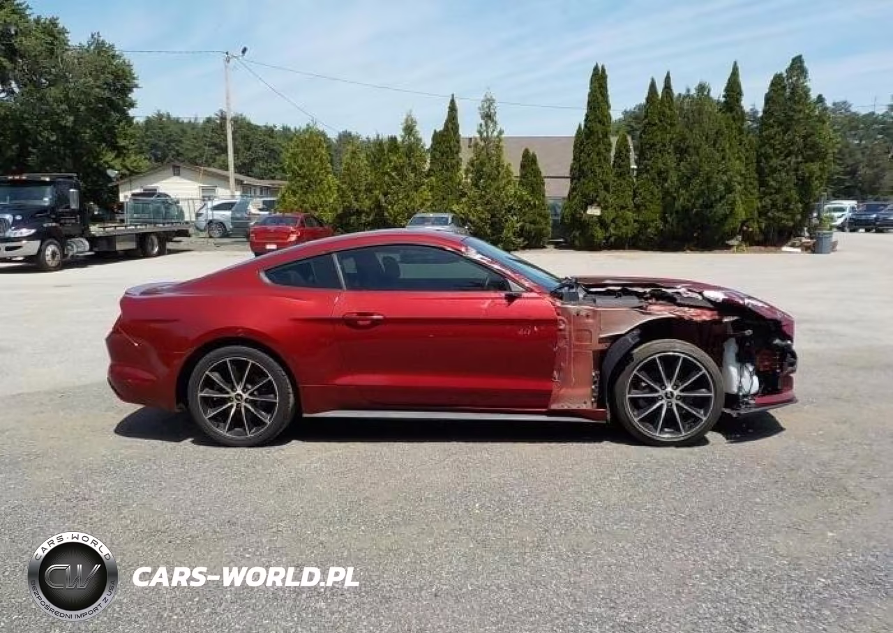 2016 Ford Mustang Ecoboost VIN:1FA6P8TH7G5265684 - 11
