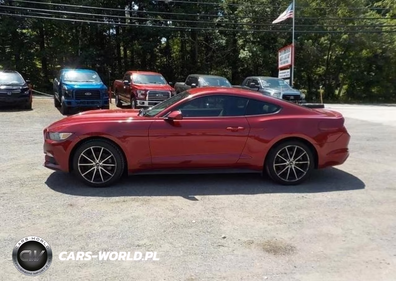 2016 Ford Mustang Ecoboost VIN:1FA6P8TH7G5265684 - 12