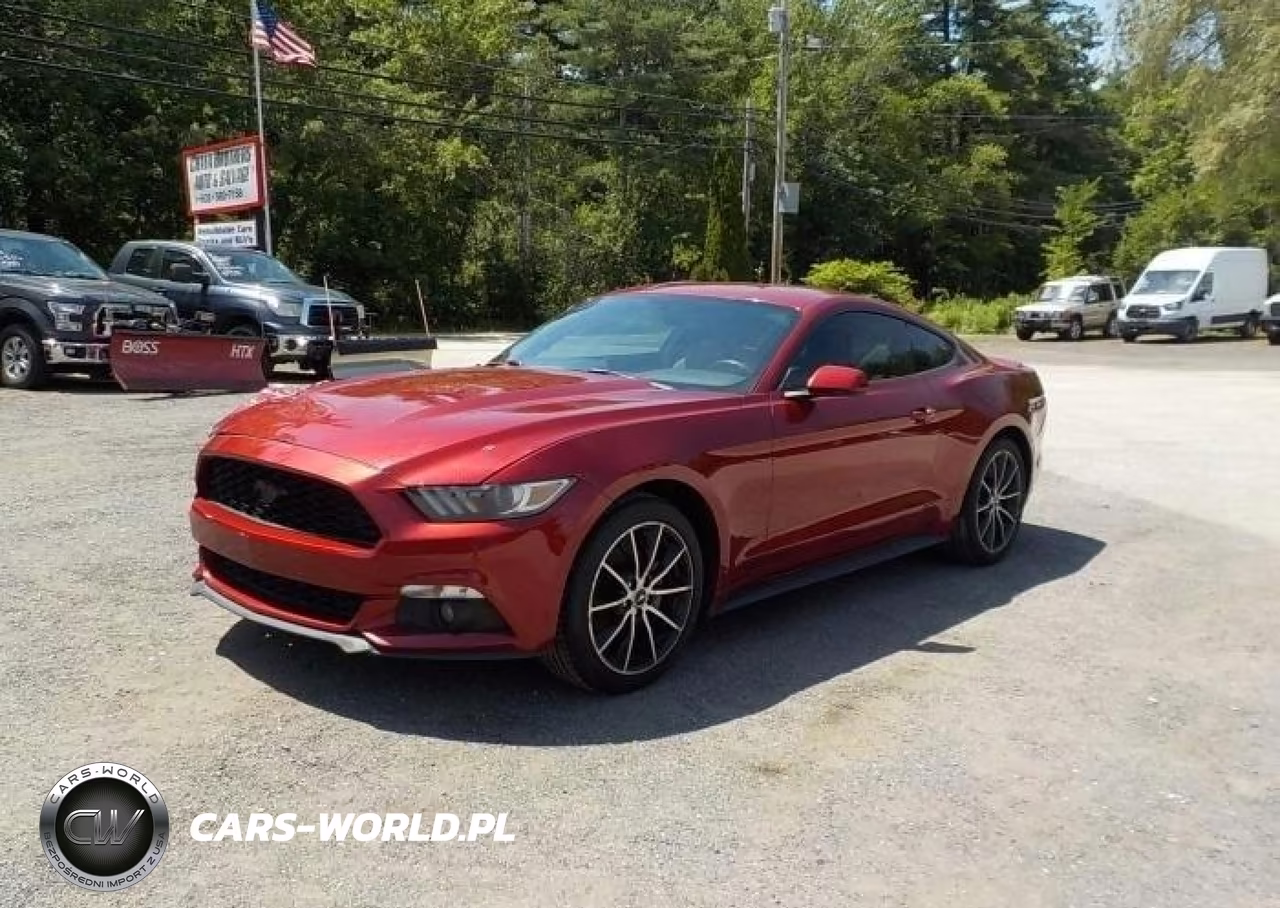 2016 Ford Mustang Ecoboost VIN:1FA6P8TH7G5265684 - 2