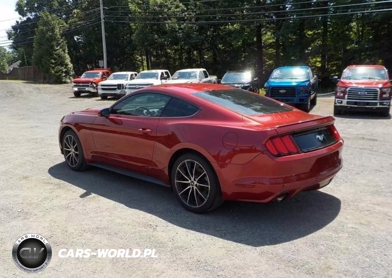 2016 Ford Mustang Ecoboost VIN:1FA6P8TH7G5265684 - 3