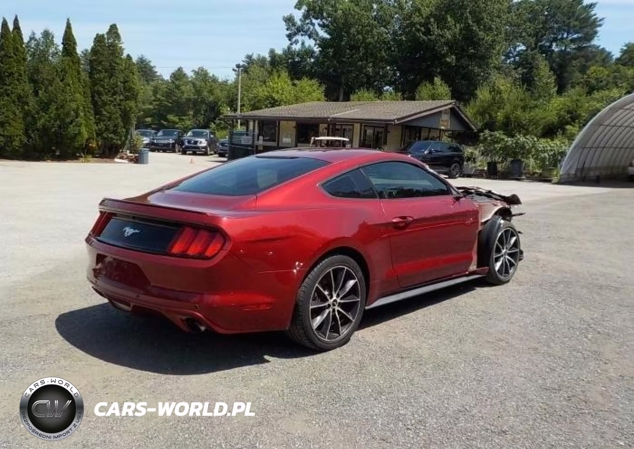 2016 Ford Mustang Ecoboost VIN:1FA6P8TH7G5265684 - 4