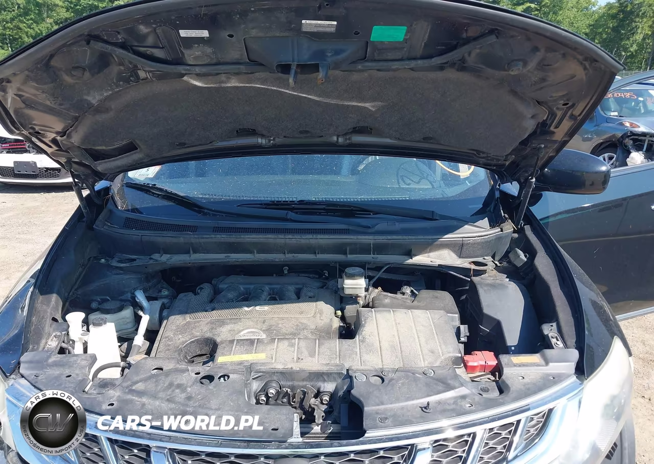 2013 Nissan Murano Le VIN:JN8AZ1MW5DW319982 - 10