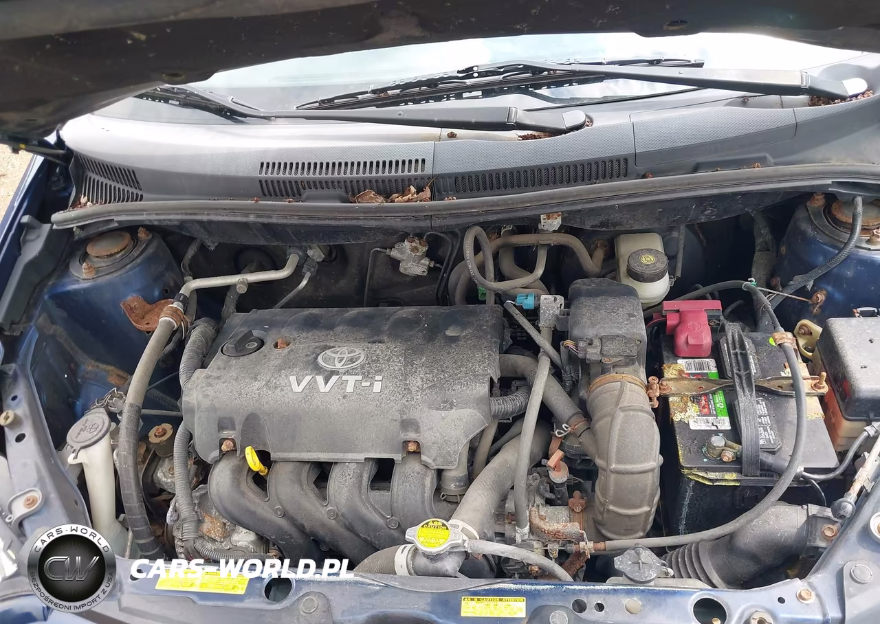 2005 Scion Xa VIN:JTKKT624250085927 - 10