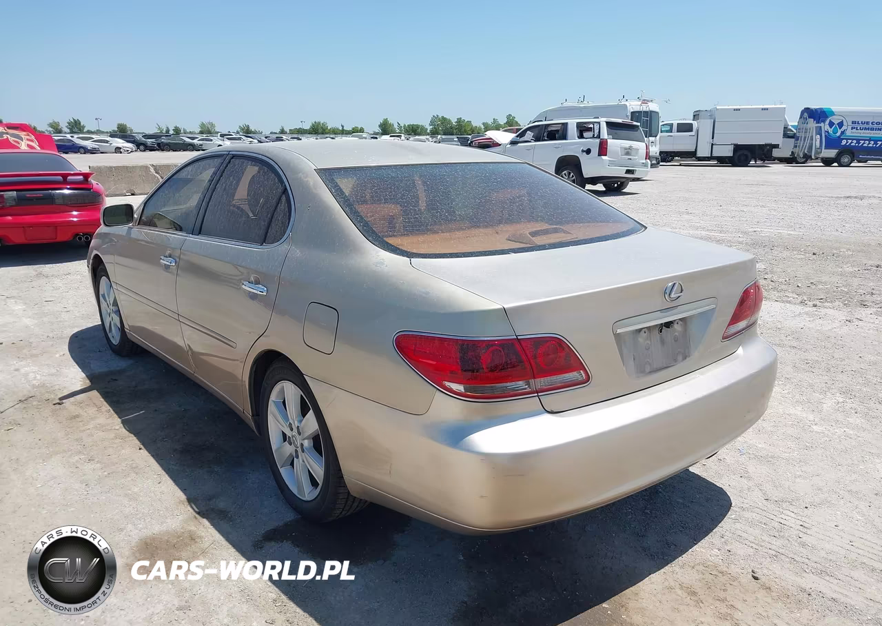 2006 Lexus Es 330 VIN:JTHBA30G365162817 - 3