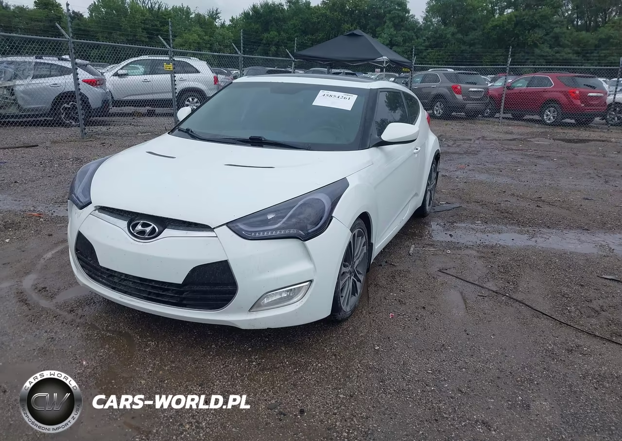 2013 Hyundai Veloster Base W-Gray VIN:KMHTC6AD3DU133239 - 2