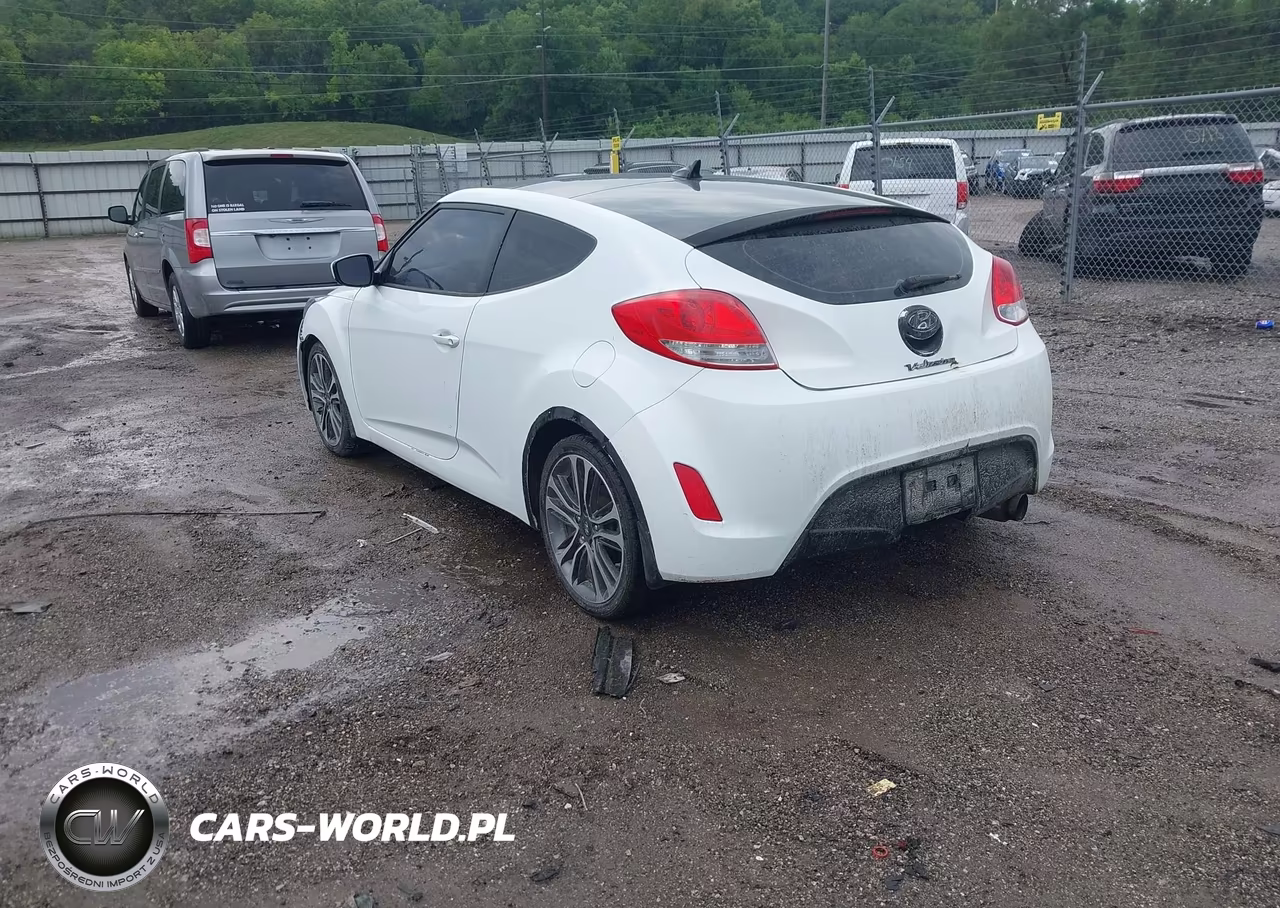 2013 Hyundai Veloster Base W-Gray VIN:KMHTC6AD3DU133239 - 3