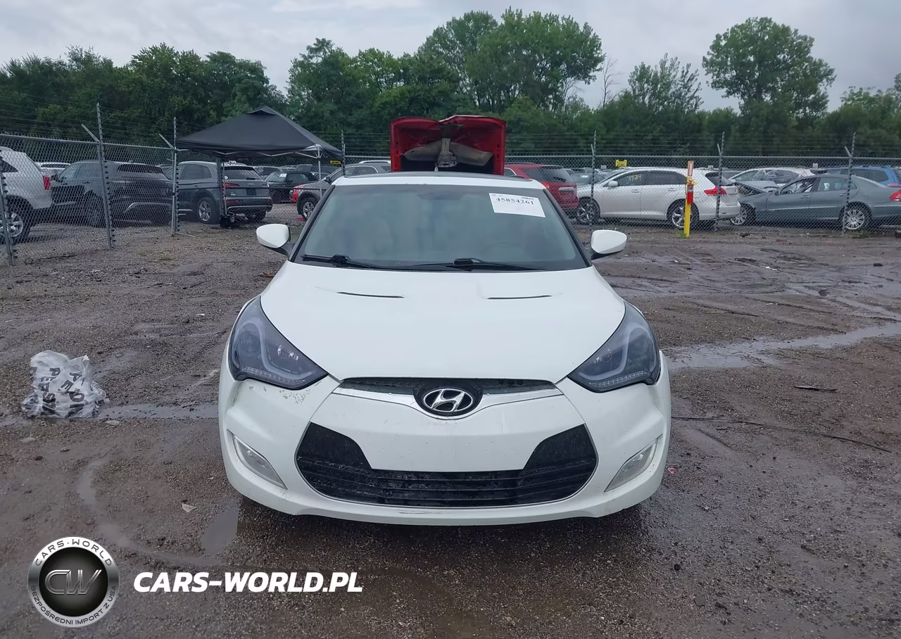 2013 Hyundai Veloster Base W-Gray VIN:KMHTC6AD3DU133239 - 6