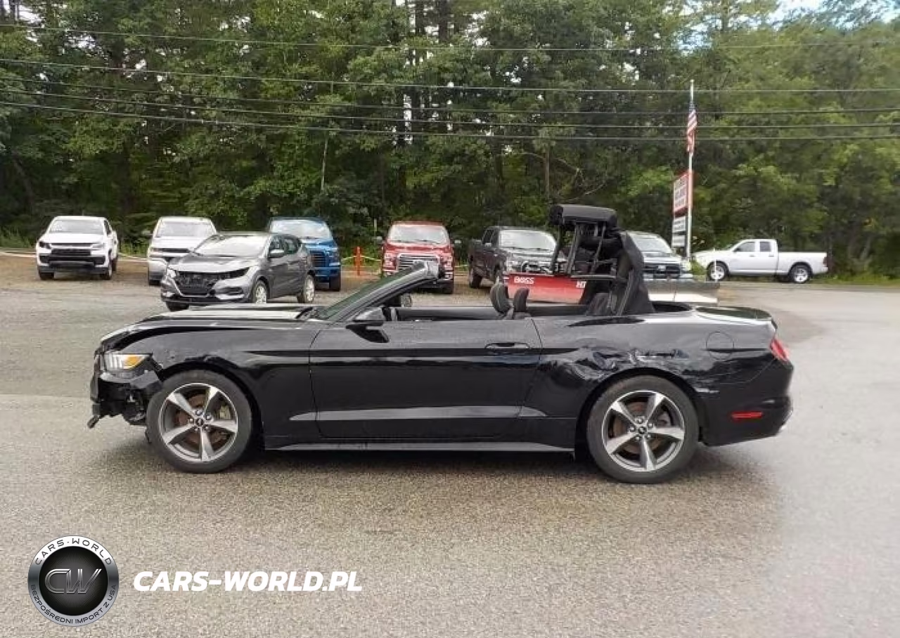 2015 Ford Mustang V6 VIN:1FATP8EM9F5377656 - 11