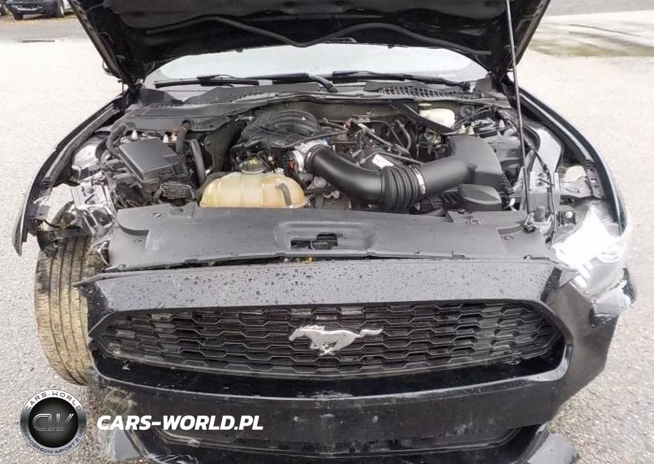 2015 Ford Mustang V6 VIN:1FATP8EM9F5377656 - 9