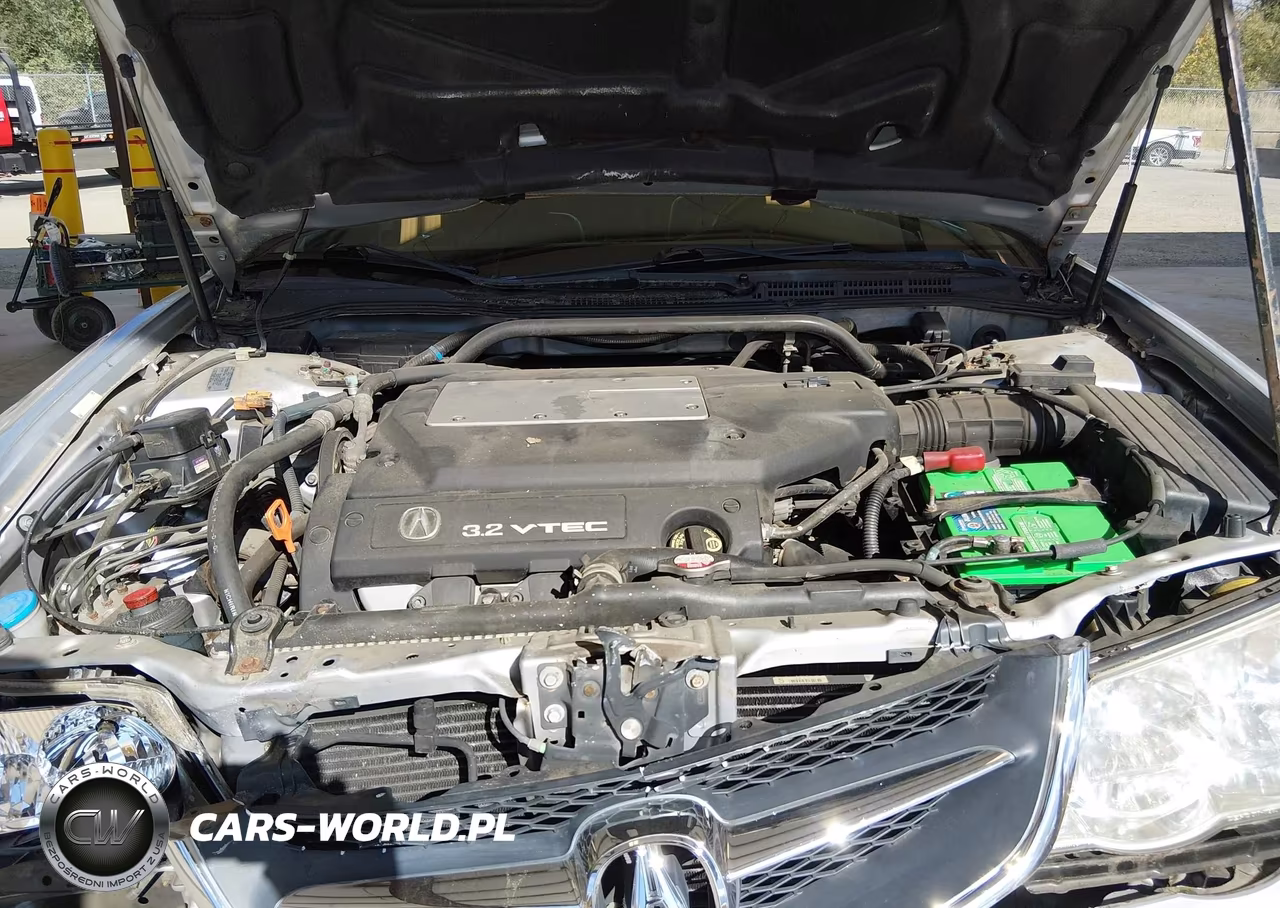 2003 Acura Tl 3.2 VIN:19UUA566X3A060844 - 10