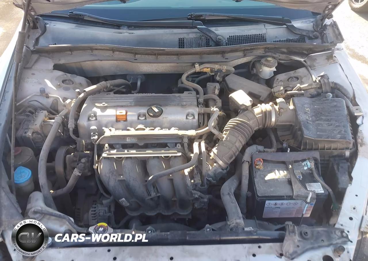 2010 Honda Accord 2.4 Lx VIN:1HGCP2F39AA091501 - 10